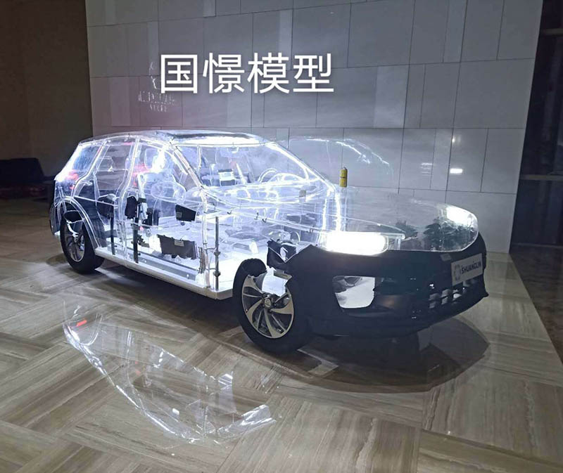 新宁县透明车模型